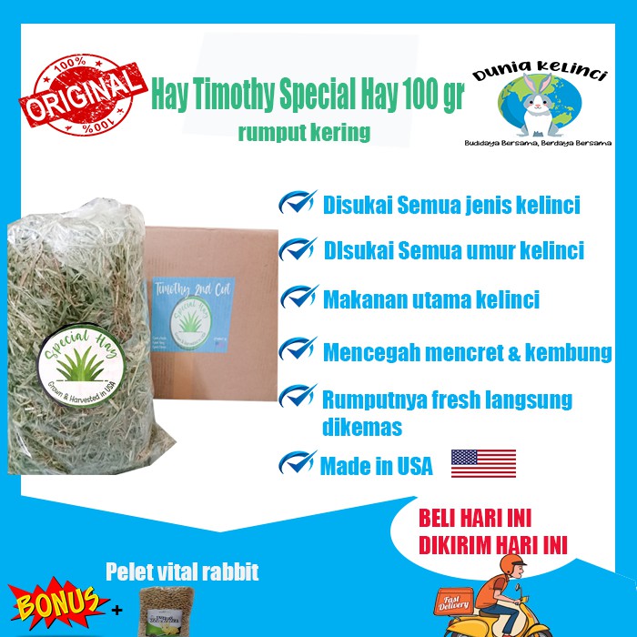 MAKANAN KELINCI HAY TIMOTHY SPECIAL HAY 100 GR GUINEA PIG MARMUT CHINCHILLA RUMPUT KERING JERAMI