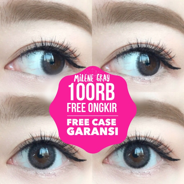 Softlens vassens xania Milene gray &amp; brown original korea