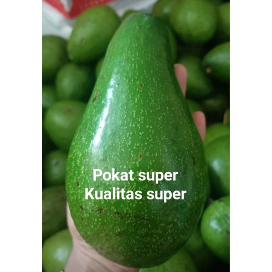 

pokat mentega batusangkar