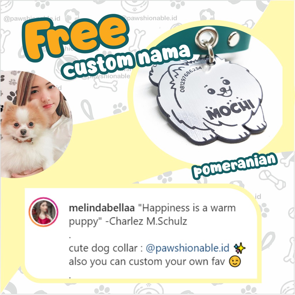 K28 - Kalung Custom Nama Anjing Pom Pomeranian Dog Collar Dog Tag Murah