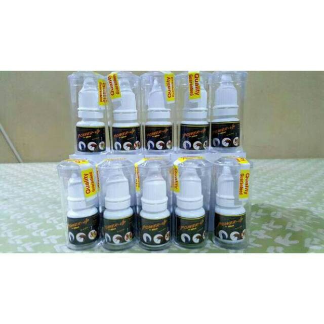 ✧ Power up 220volt pleci dan burung lain ✧-2