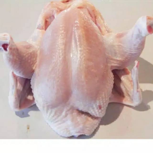 

Ayam potong bersih (1kg)