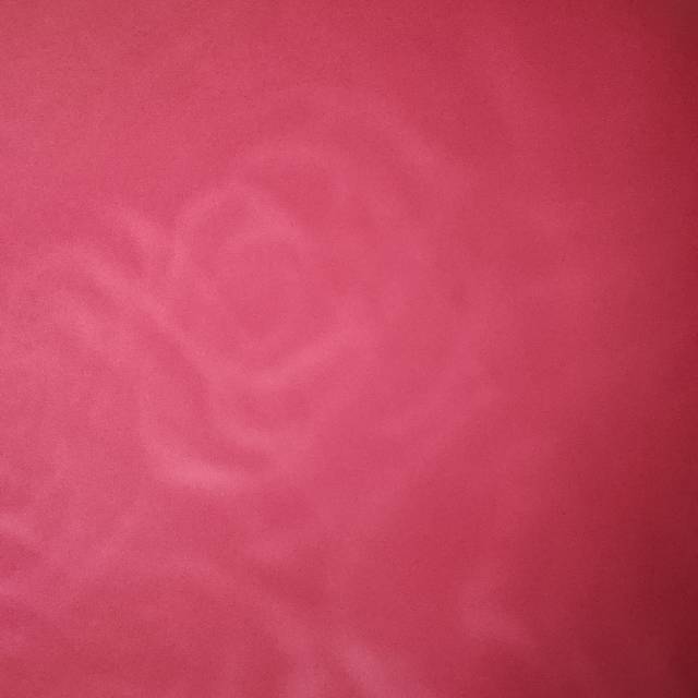sarinun23
