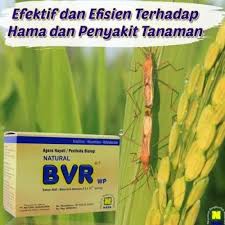 Natural BVR Original Nasa - Pengendali Hama - Pembunuh Hama - Obat Hama Murah Terbaik Terlaris