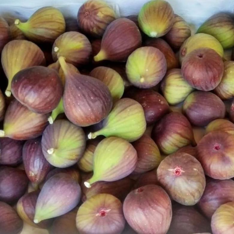 

[KODE QFT0K] Buah Tin, Ara, Fig Fresh Grade B 200grm.
