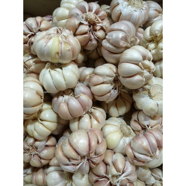 

Murah Bawang Putih Banci/Honan 1Kg
