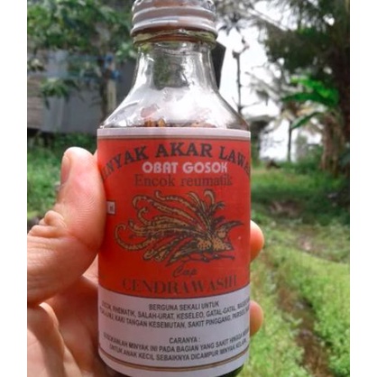 TERJAMIN Minyak Akar Lawang AKAR LAWANG ASLI KALIMANTAN TENGAH BOTOL