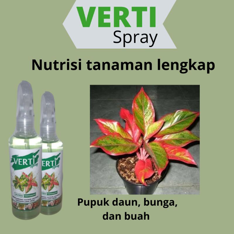 Nutrisi pelengkap tanaman, pupuk nutrisi tanaman hias aglonema, pupuk Nutrisi tanaman hias gantung, 