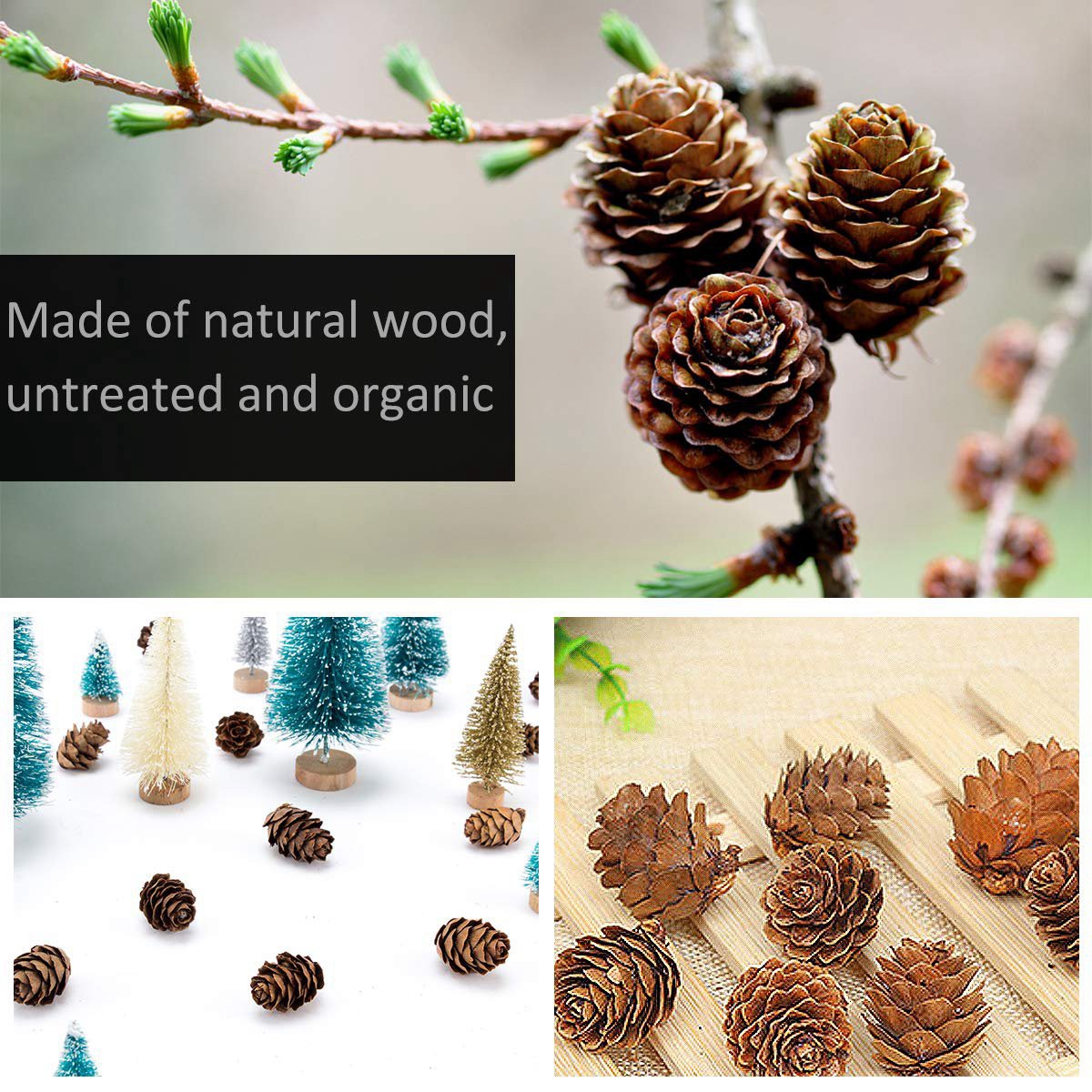 Download Hot Sale 200 Pieces Thanksgiving Rustic Mini Brown Pine Cones In Bulk Christmas Natural Pine Cones Ornaments For Home Decoration Fall And Christmas Crafts Shopee Indonesia Yellowimages Mockups