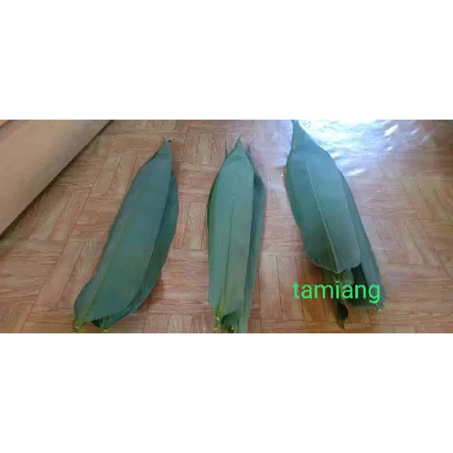 Daun Bambu untuk bungkus bacang dan kesehatan