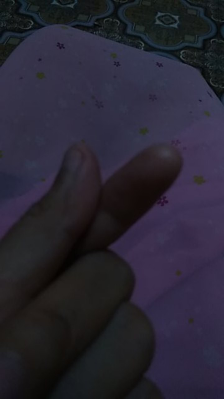 Pemotong Adonan Mie Pasta Stainless Steel Noodle Rolling Cutter