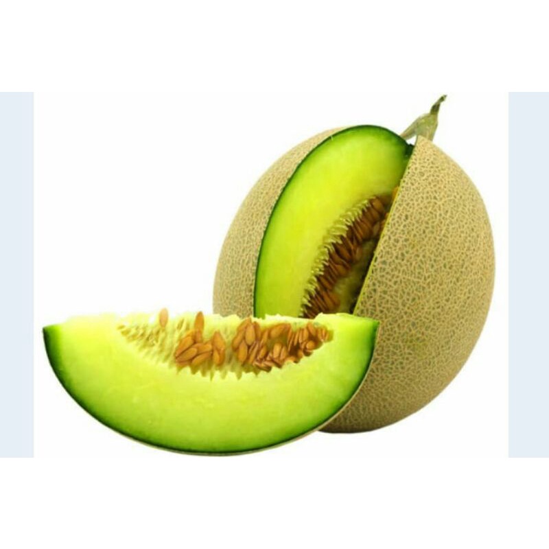 

Buah melon green fresh per 1 kg