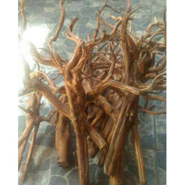 Kayu aquascape rasamala kupas size L Shopee Indonesia Kayu aquascape rasamala kupas size L Shopee Indonesia