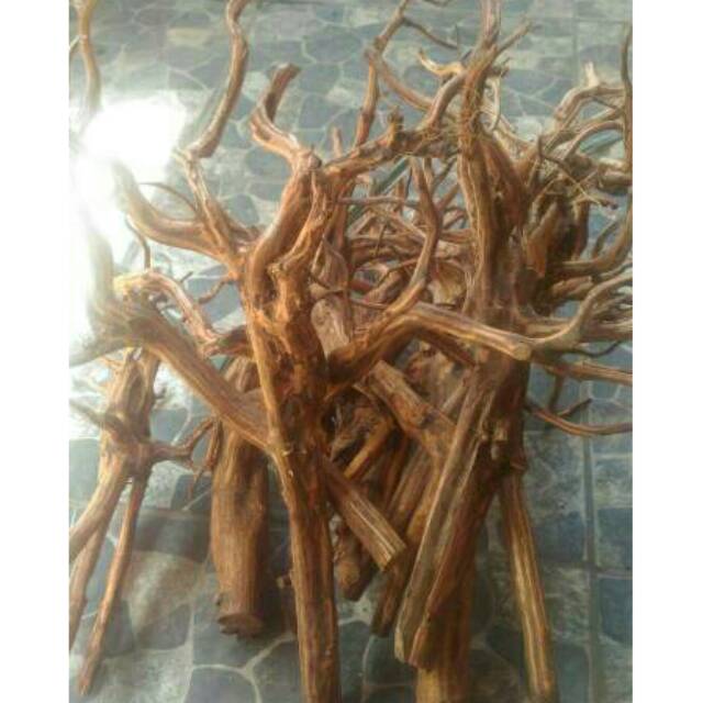  Kayu  aquascape rasamala  kupas size L Shopee Indonesia