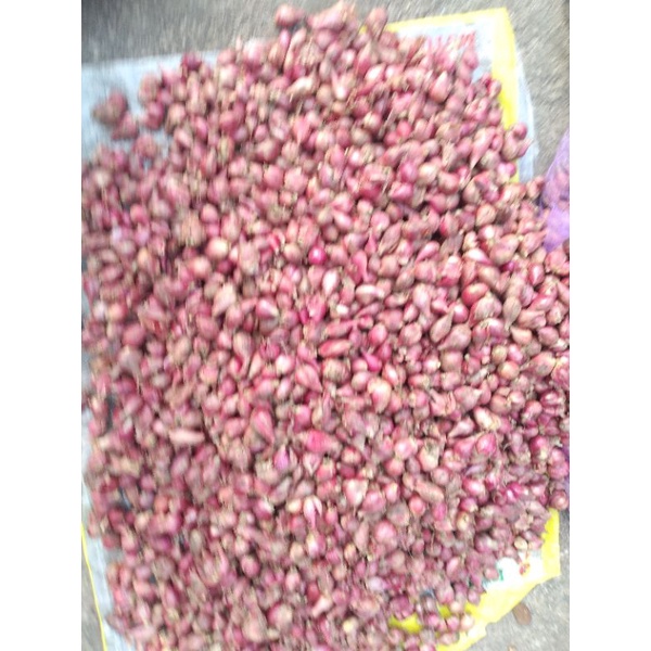 

bawang merah brebes berkualitas seperempat