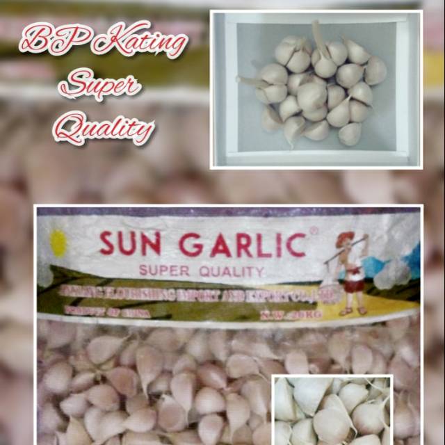 

Bawang Putih Kating/Kg Bersih Best Quality