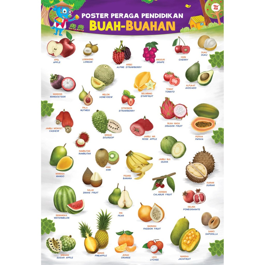 Bahan Mewarnai Gambar Buah Stroberi - Kreasi Warna