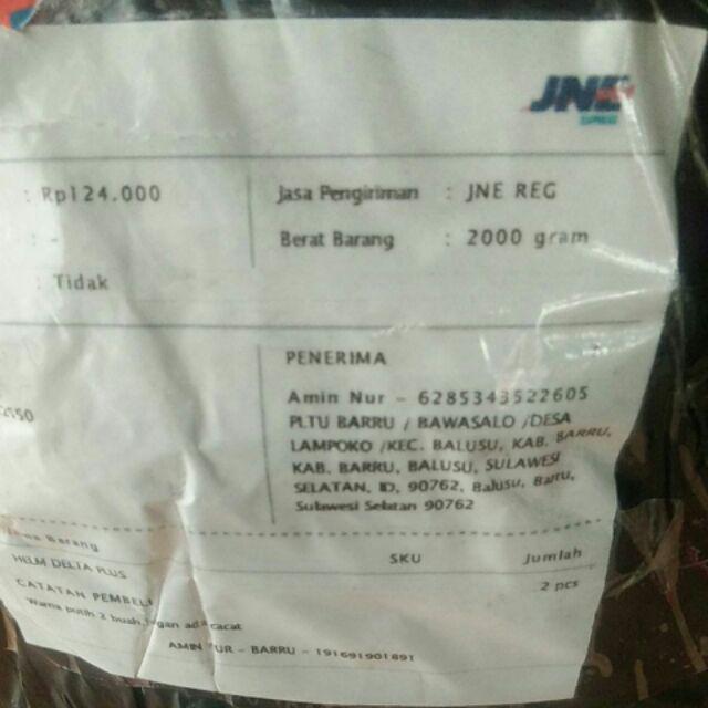 Helm Proyek Safety Helmet Delta Plus