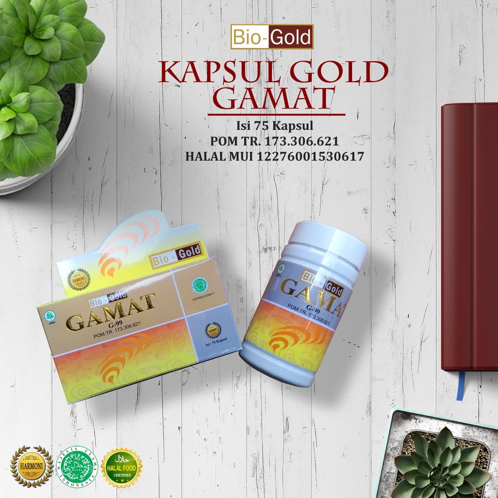 Kapsul Ekstrak Gamat Emas Bio Gold Original Bpom Indonesia