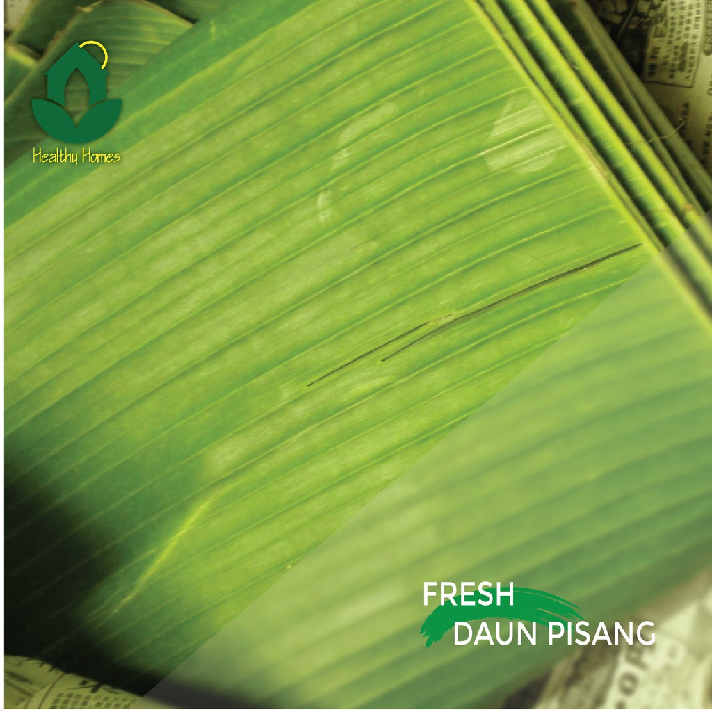 

Daun Pisang 500gr Jabodetabek