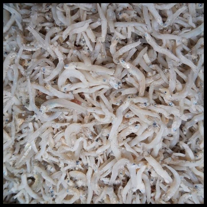 

Ikan Teri Nasi Medan Kualitas Super 250 Gram