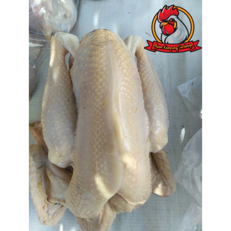 

AYAM KAMPUNG MEDIUM 650-725 gr