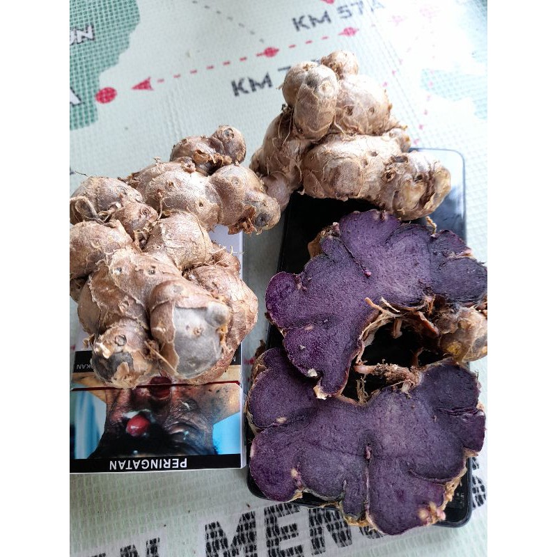 KUNYIT HITAM ASLI SUPER 500 GRAM