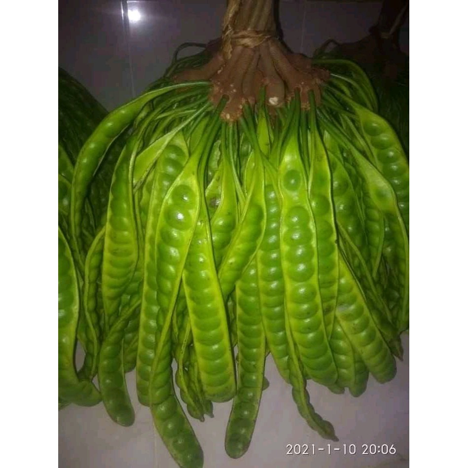 

BUAH PETE/PETAY SEGAR DUA PAPAN