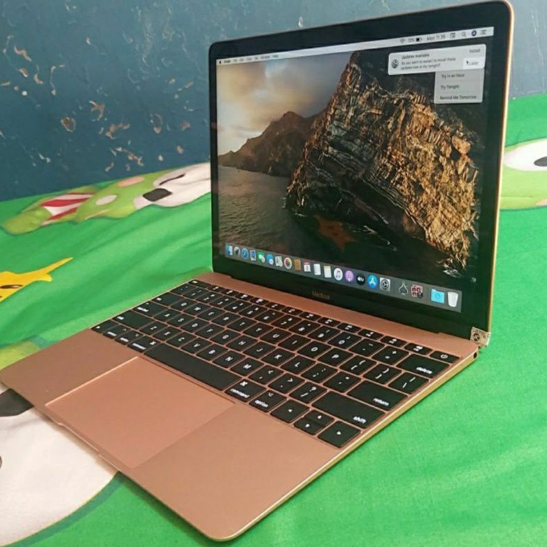 Macbook Retina 12 inch Tahun 2017 intel Core M3 1.2Ghz Ram 8GB SSD 256 GB Rose Gold mulus