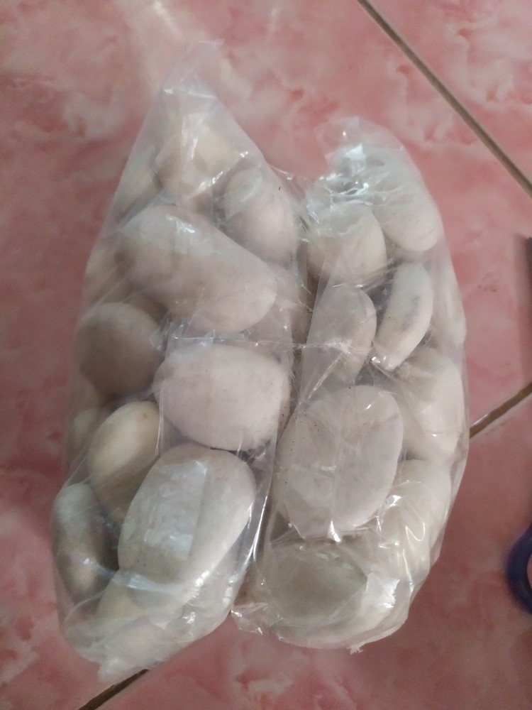 Batu Koral Putih Kupang