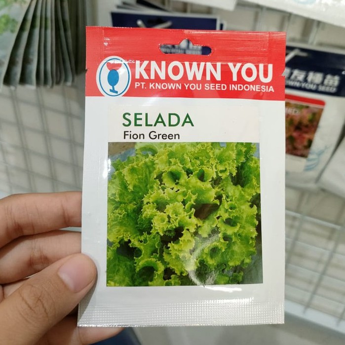 KYS - benih SELADA HIJAU FION GREEN isi 5 gram - benih selada keriting - selada grand rapid - known you seed