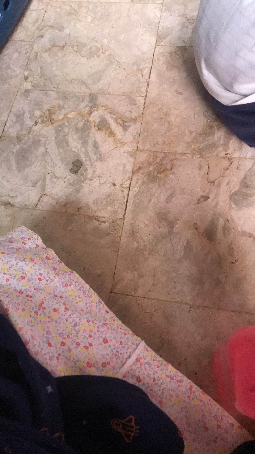 Maspion Ena Panci Serbaguna Dutch Oven / Stock Pot Enamel 24 Cm Panda Signature Pan + Tutup