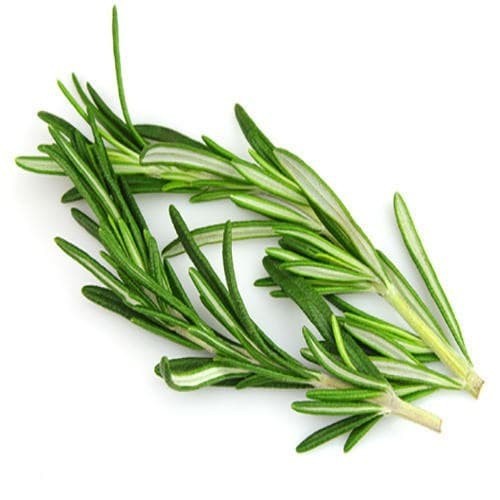 

Rosemary Organik