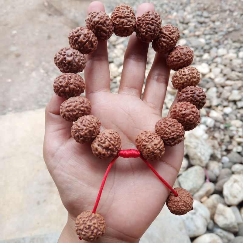 JENITRI RUDRAKSHA MUKHI 8