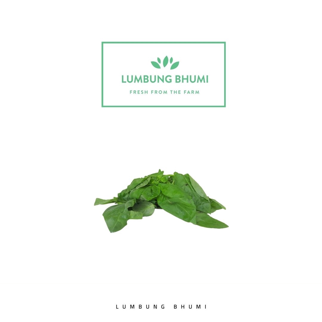 

Lumbung Bhumi - Daun Basil 250 Gr ( Sayur Curah )