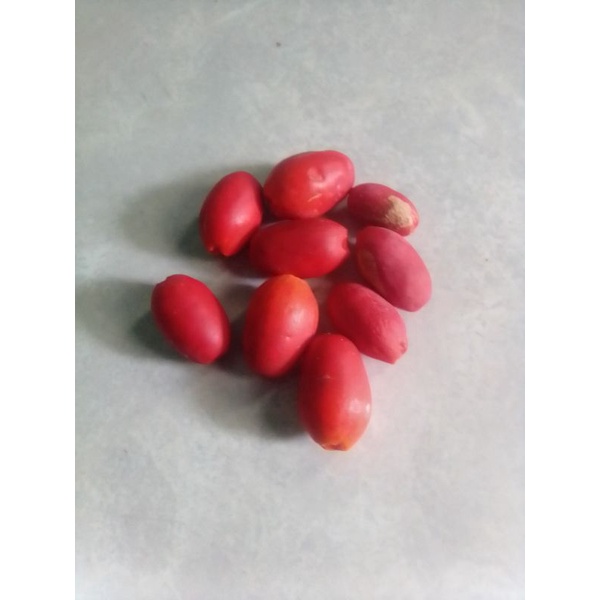 

Sayuran buah tangkil/Sayuran meninjo mereh