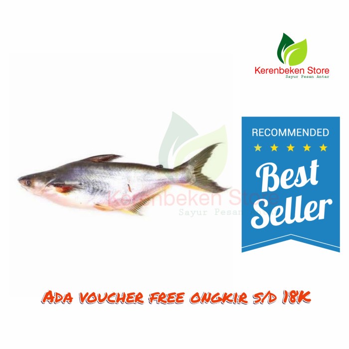 

Ikan Patin per 500 gram