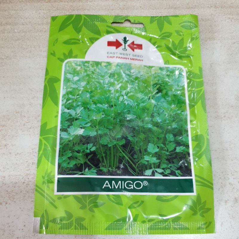 Benih seledri Amigo