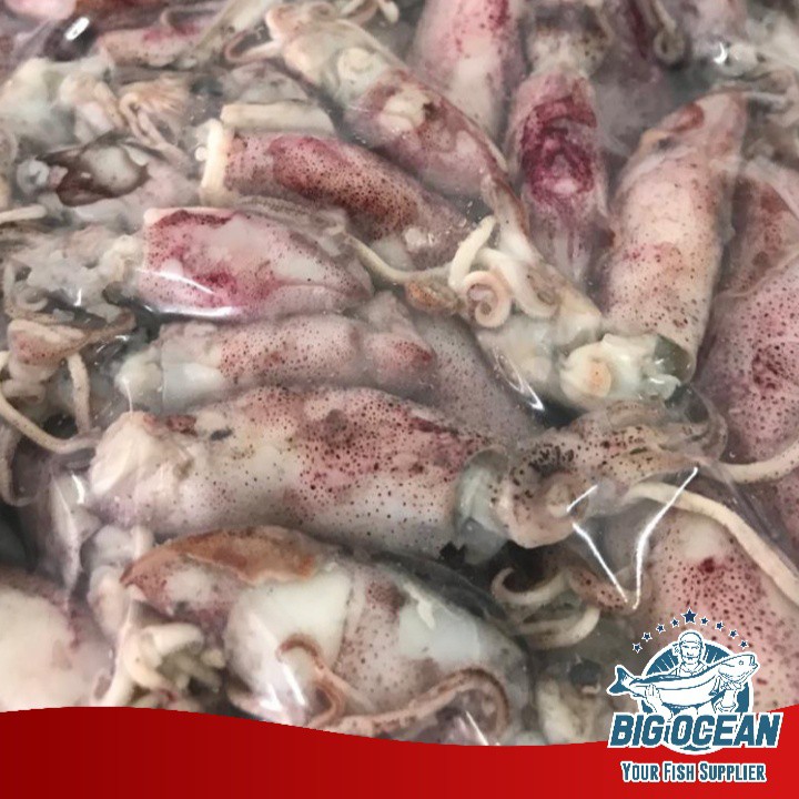 

Terlaris! Baby Cumi asin Size S @gr