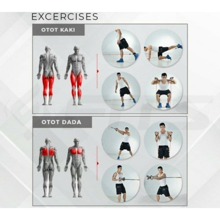 Flexytrain Flexy Train Original | Olahraga dirumah serasa ngegym