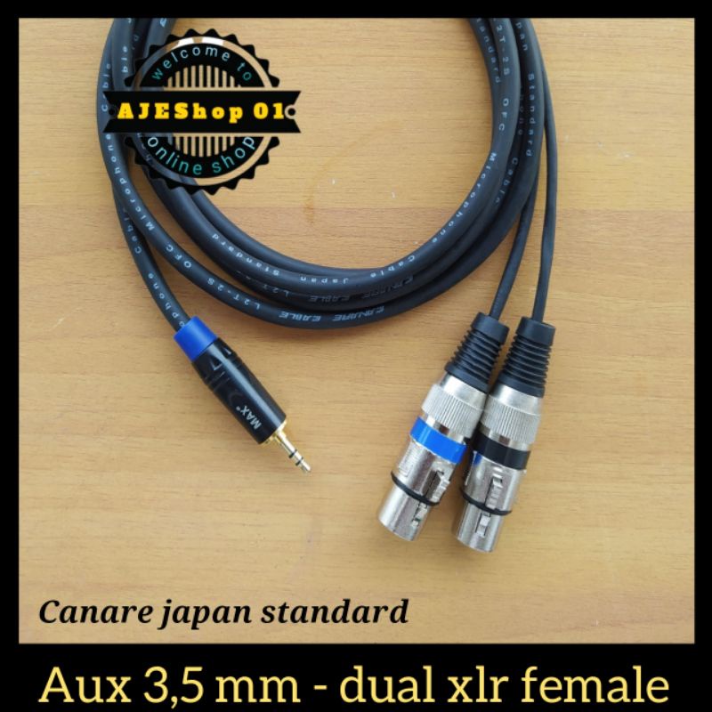 Kabel aux 3,5 mini stereo to dual xlr female