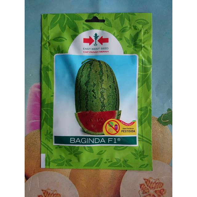 Benih Biji Bibit Semangka Merah BAGINDA F1