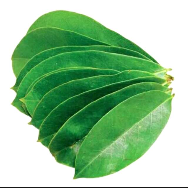 

Daun sirsak
