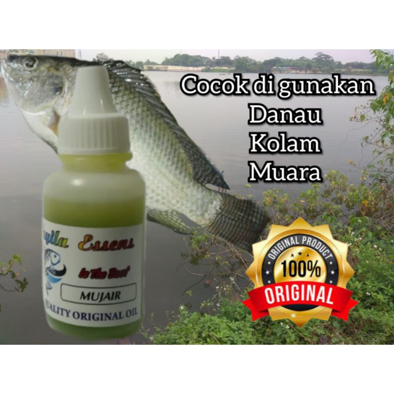 essen ikan nila esen ikan nila ikan mujaer essen oplosan
