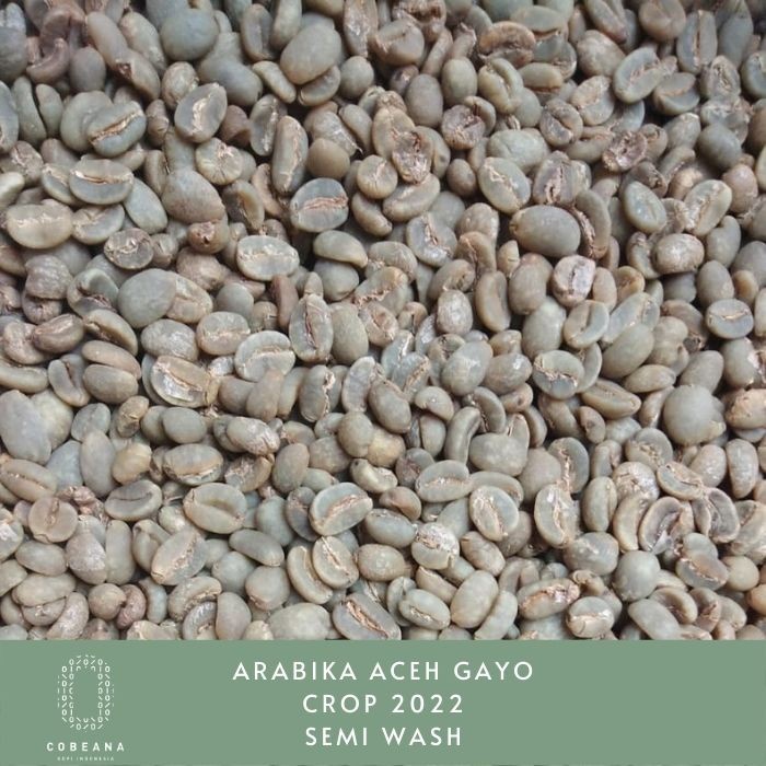 

Biji Kopi Arabika Aceh Gayo 1kg Greenbean