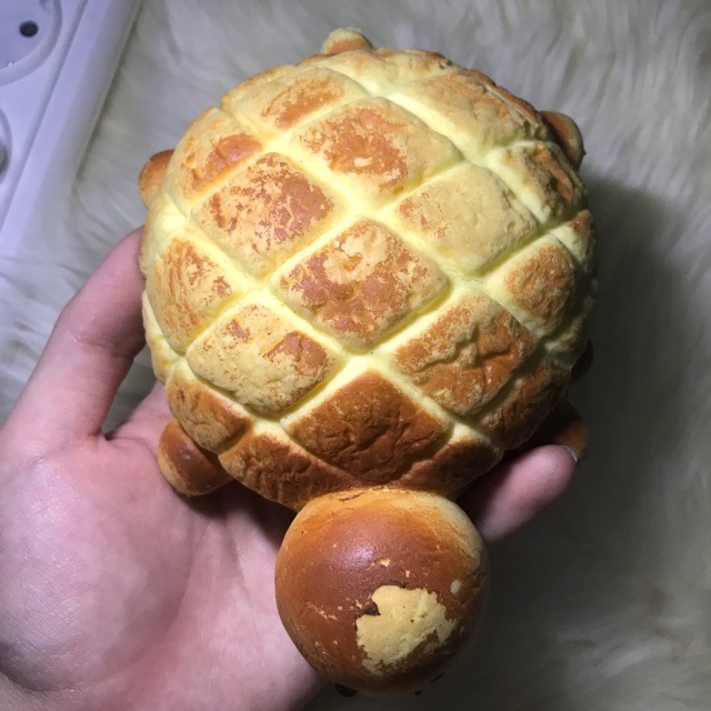 Breadou Tortoise ORI