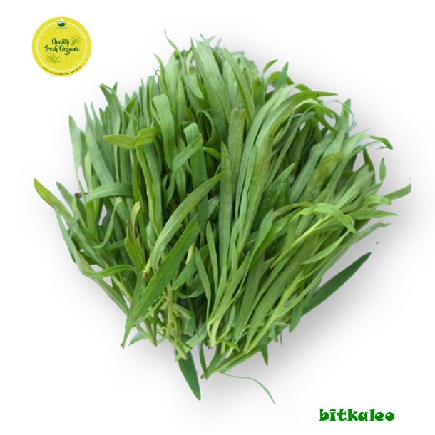 

Tarragon Organik 50 gr (PO)