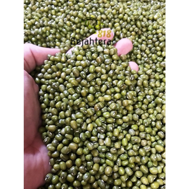 

Kacang Ijo Super Import Australia 500gr