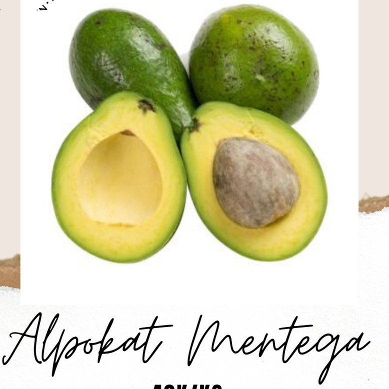 

Alpokat Mentega 1kg