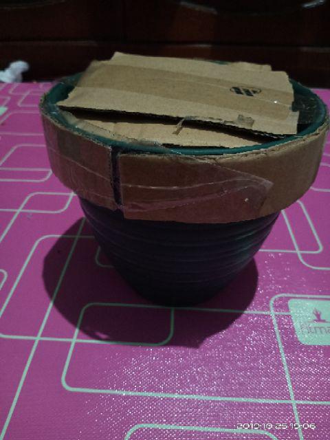 Pot Tawon 18 Cm Plastik  Tanaman Hias Bunga  Sukulen Kaktus